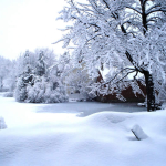 March 2008 Snow on Harrisville Pond